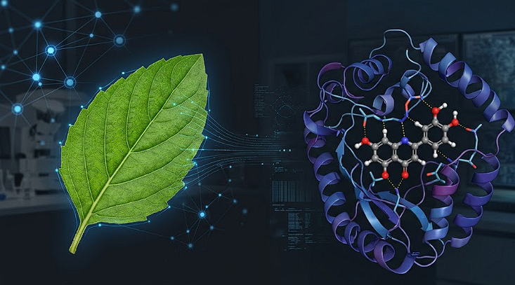 Natural Breakthrough: Ocimum sanctum Phytochemicals as a Therapeutic Frontier for Diabetic Foot Ulcers