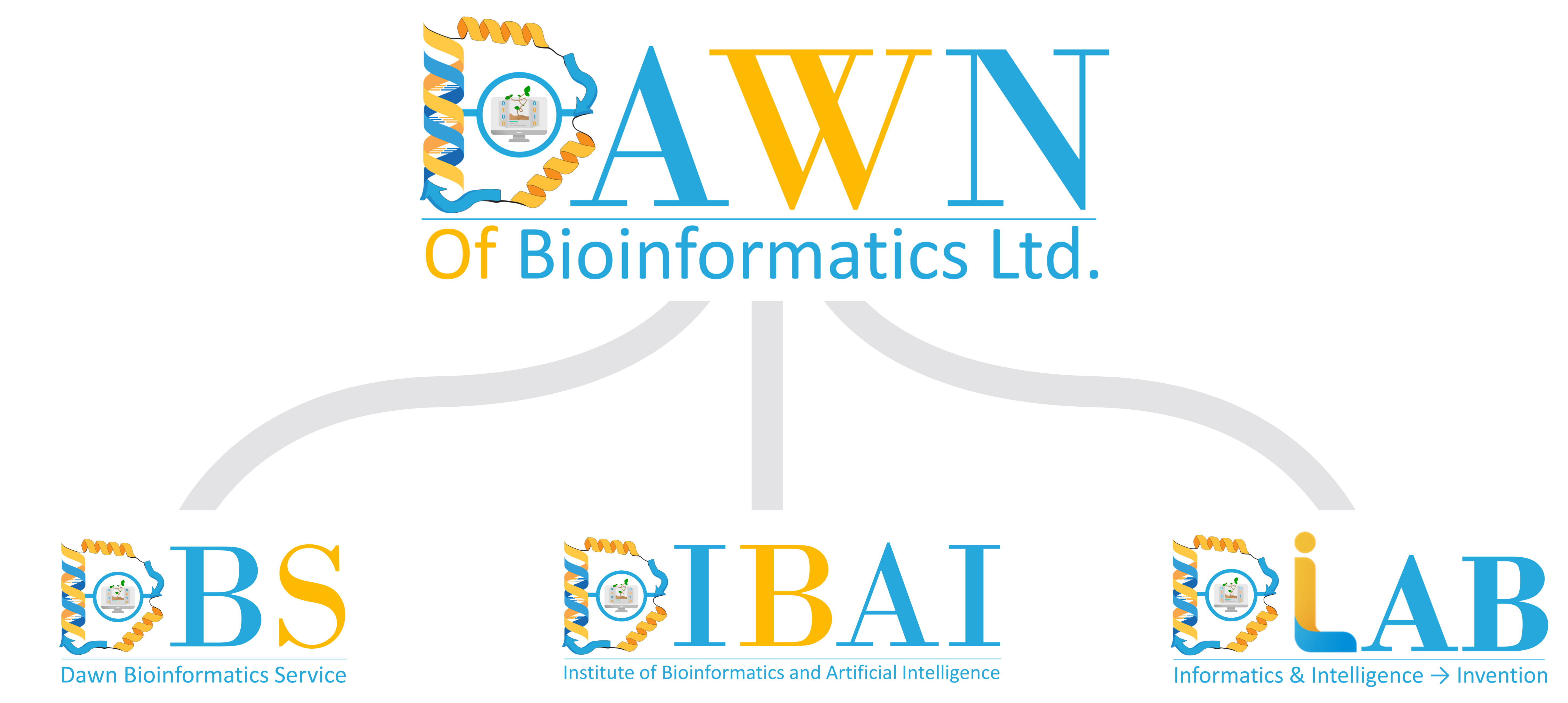 DOB Ecosystem