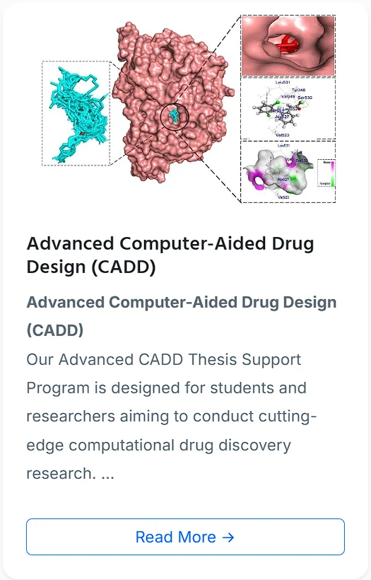 Thesis Support
