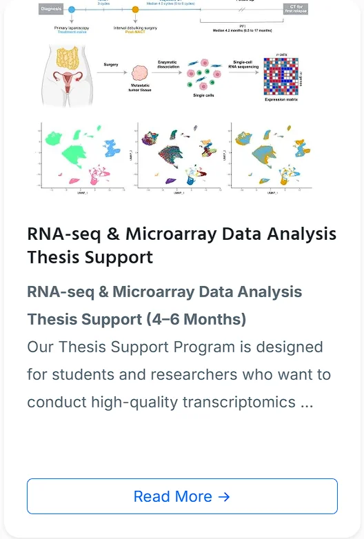 Thesis Support
