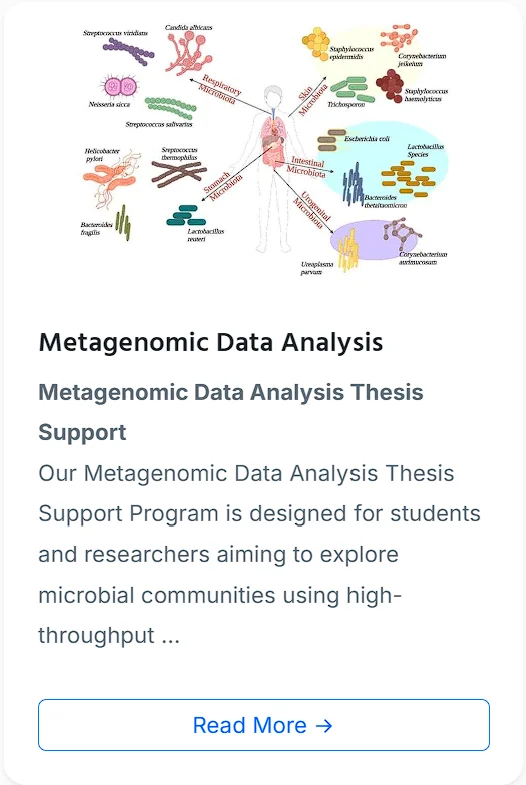 Thesis Support
